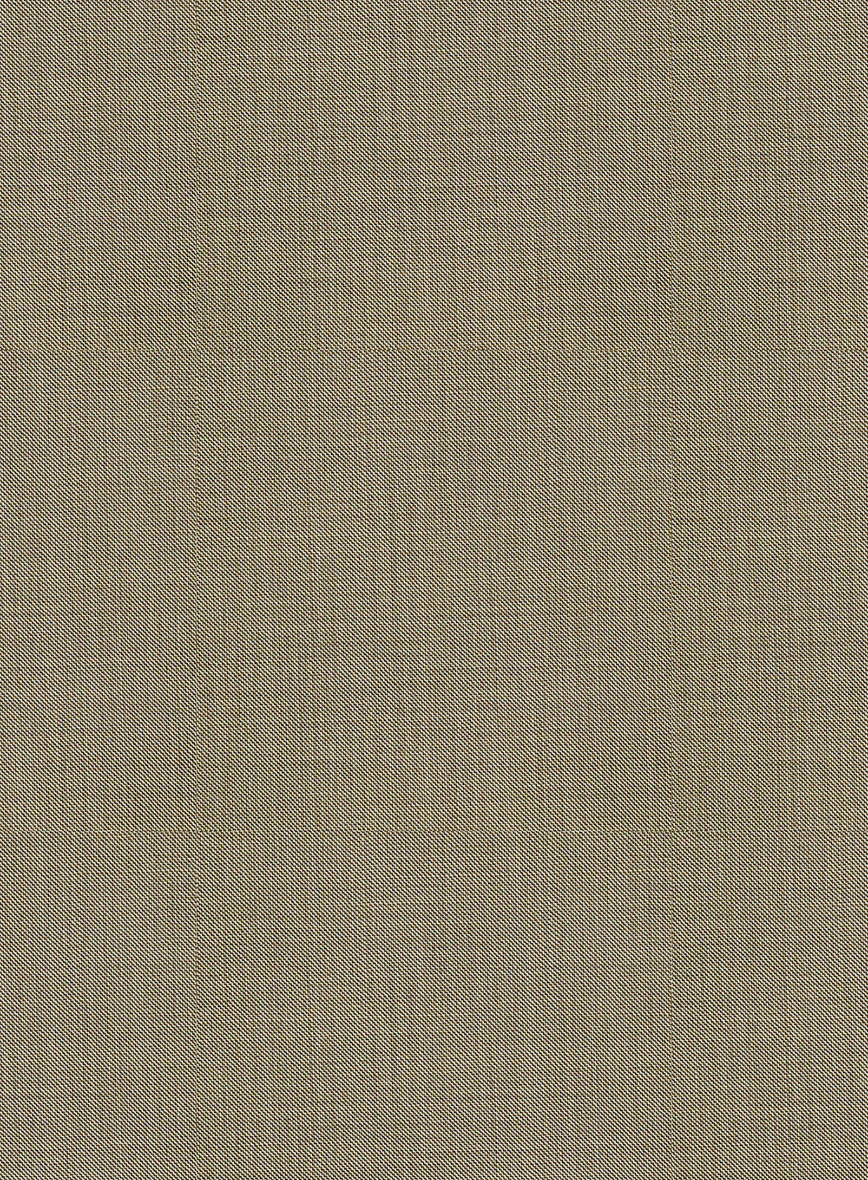 Bristol Beige Sharkskin Suit - Image 6