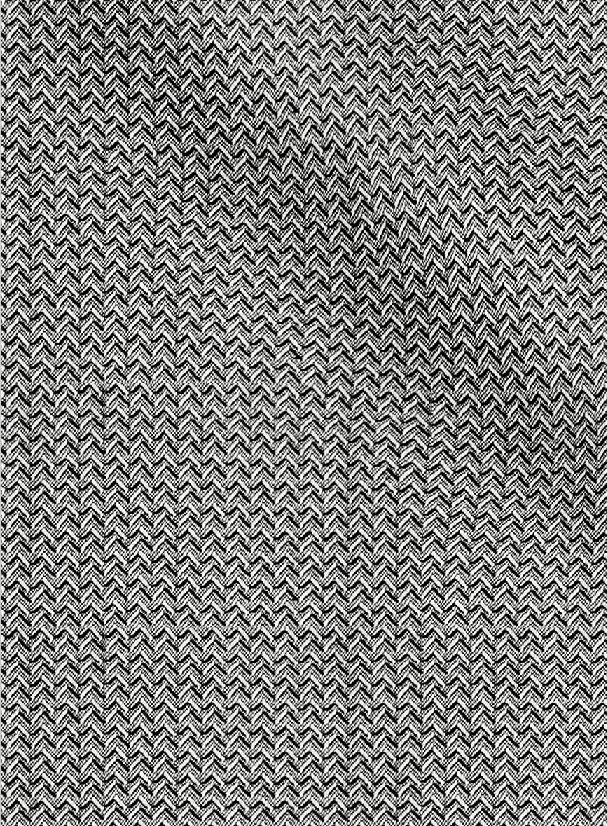 Napolean Dalmoro Chevron Weave Black And White Wool Pants - Image 3