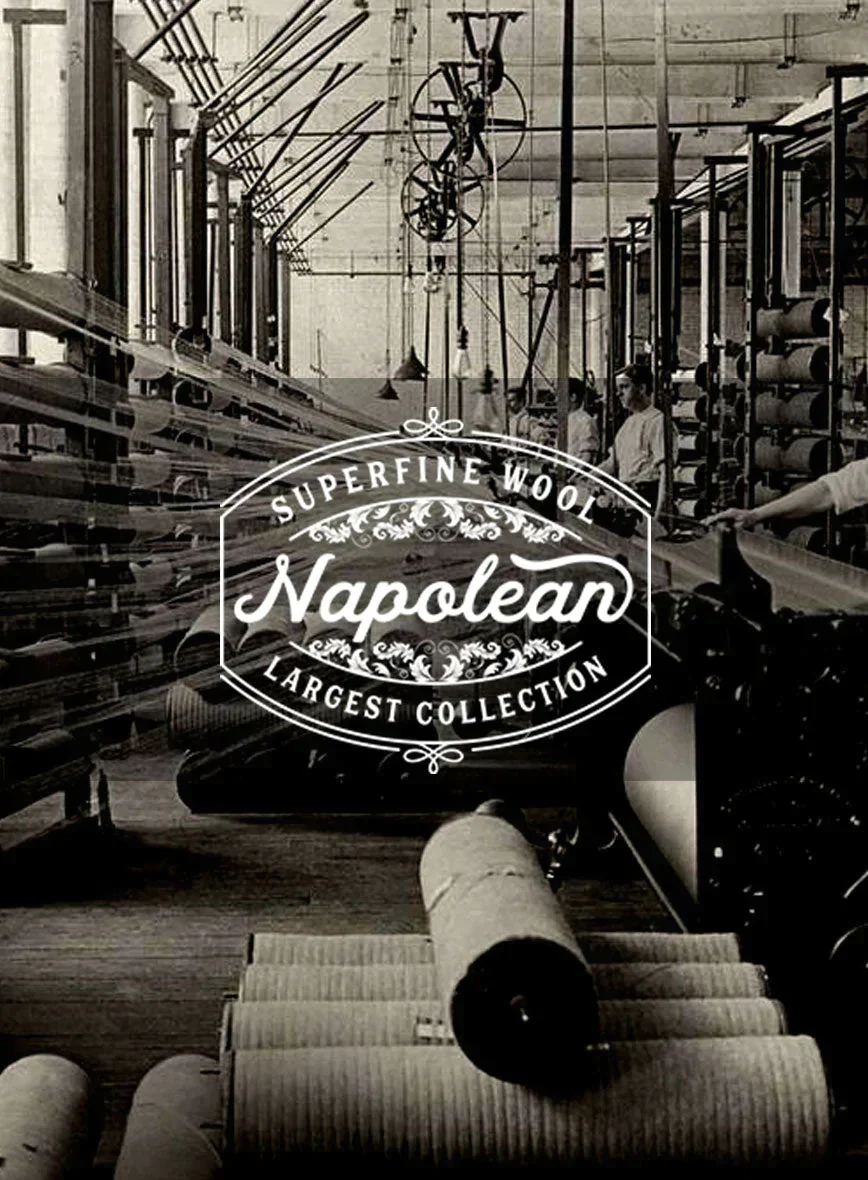 Napolean Knight Blue Check Suit - Image 6