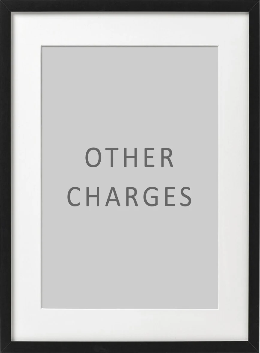 Other Charges